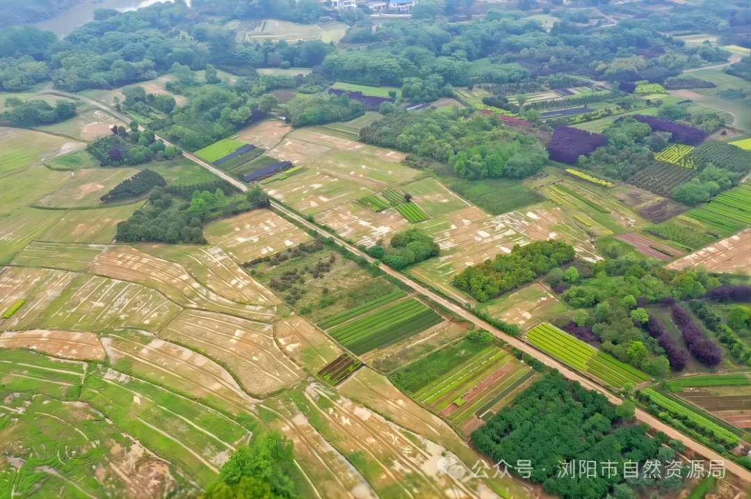 湖南浏阳:塑造农文旅融合发展特色IP
